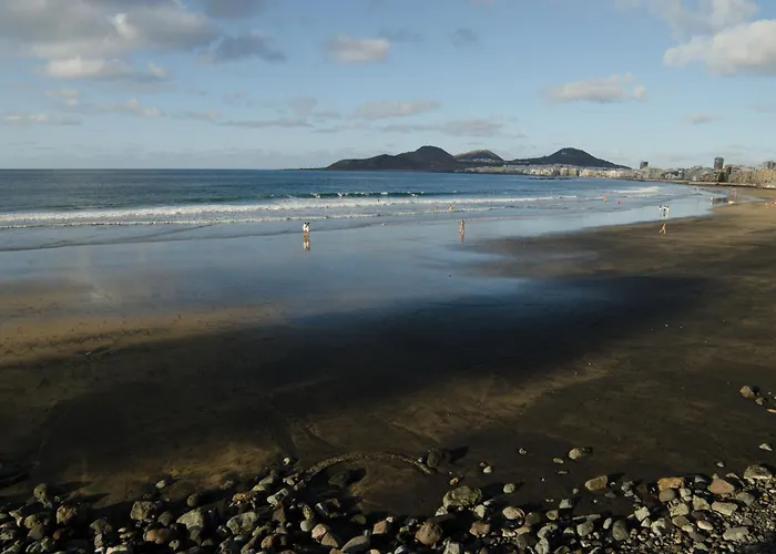 Home2book Spacious & Bright In Palmas דירה *